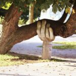 Are You a Functional Member of the Body of Christ? How to Glorify God in Your Church