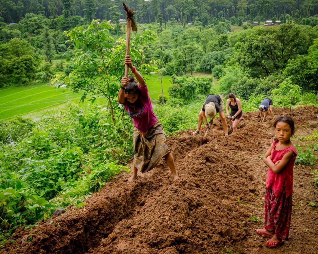 five people digging ground