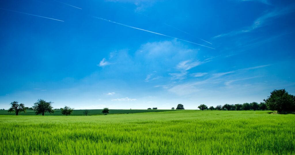 Panoramic Photography of Green Field